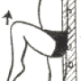 ejr21.png