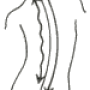 fig1.png