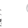 disparador2.png
