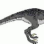 raptor.gif