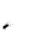 bug.gif