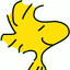 Euloxio wiki